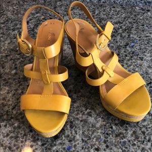 Yellow  wedges